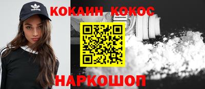 мдпв Новозыбков
