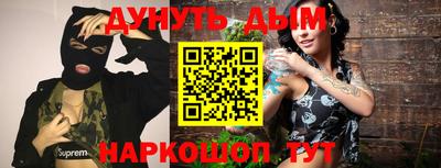 мдпв Новозыбков