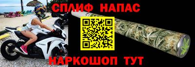 мдпв Новозыбков
