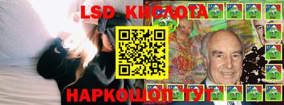 мдпв Новозыбков
