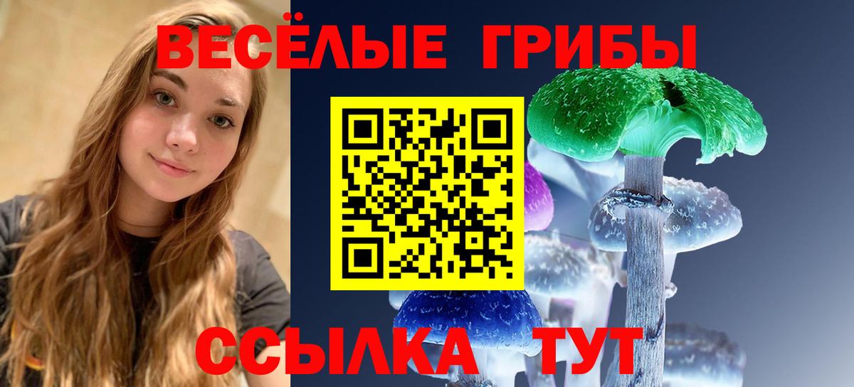 Псилоцибиновые грибы прущие грибы Унеча