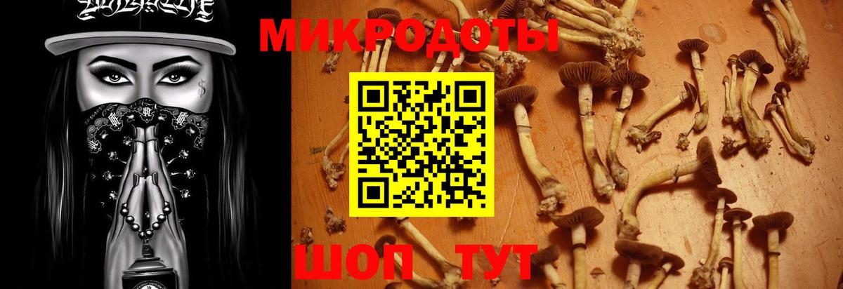 Галлюциногенные грибы мицелий  Вход с VPN  Унеча 